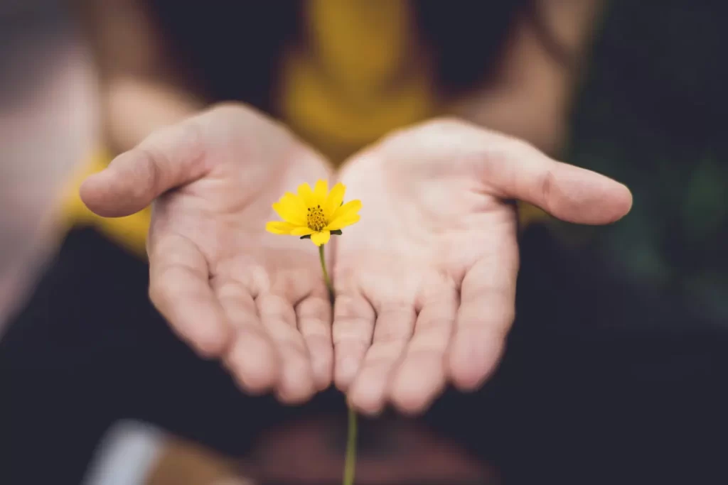 selective-focus-photography-of-woman-holding-yellow-petaled-flowers